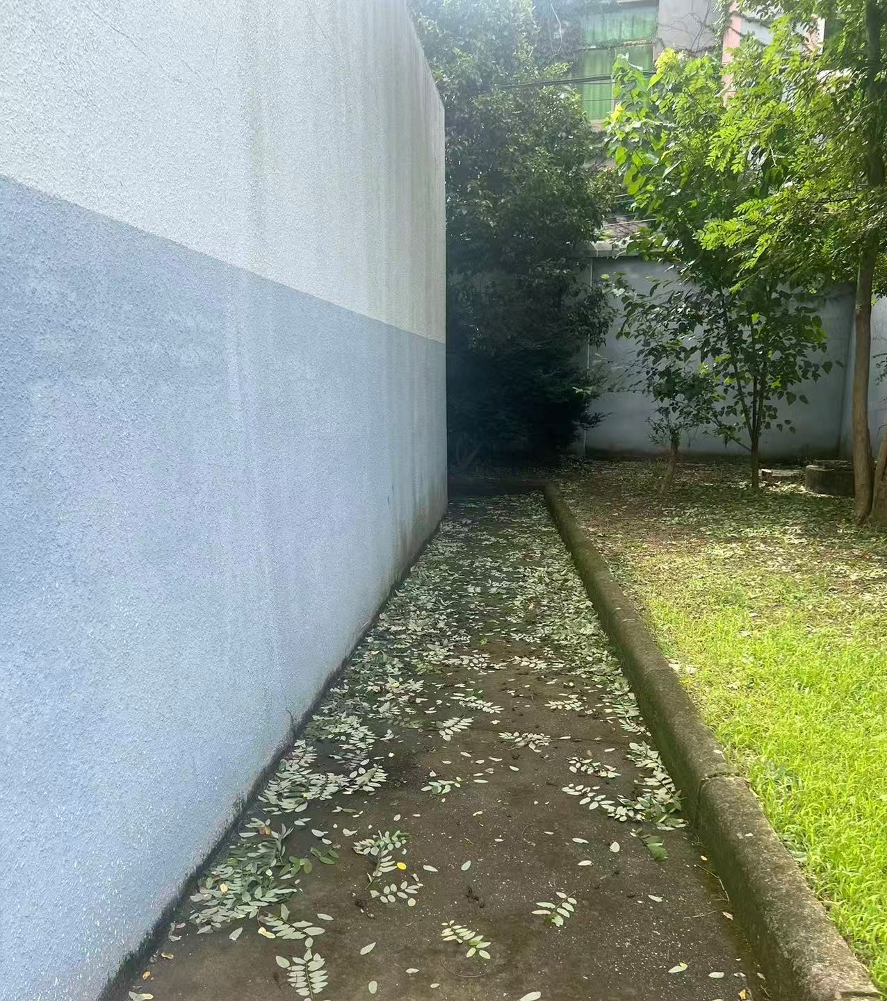 1.jpg 1.jpg